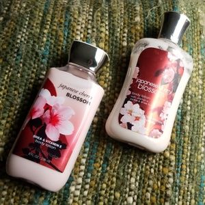 Japanese Cherry Blossom